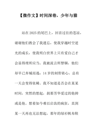 时光深巷-少年与猫