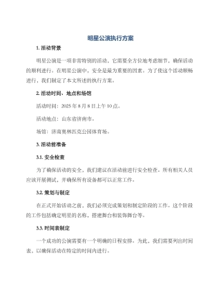 明星公演执行方案