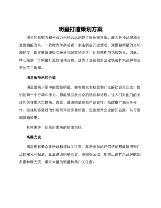 明星打造策划方案