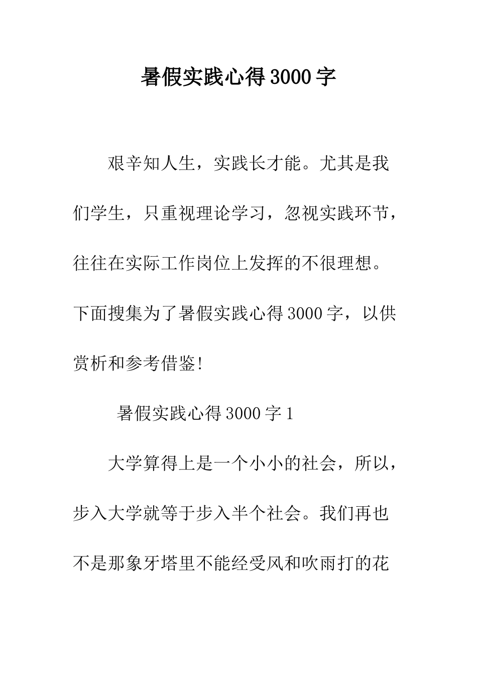 暑假实践心得3000字--精编范文_第1页