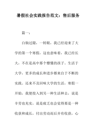 暑假社会实践报告范文售后服务--精编范文