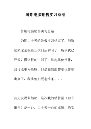 暑期电脑销售实习总结--精编范文
