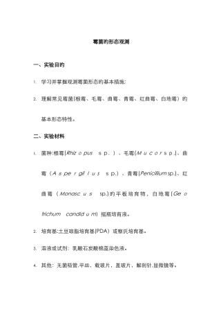 曲霉和青霉的形态观察