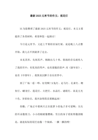 最新2025元宵节的作文观花灯