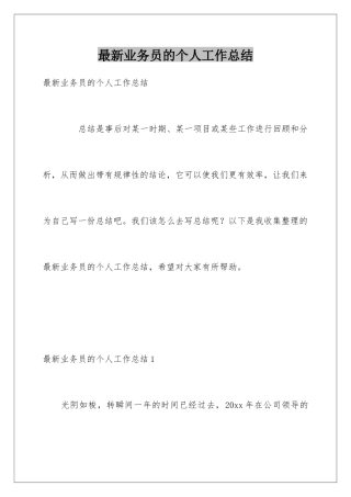 最新业务员的个人工作总结