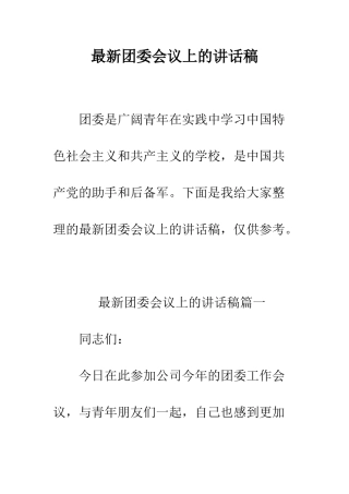 最新团委会议上的讲话稿--精选范文