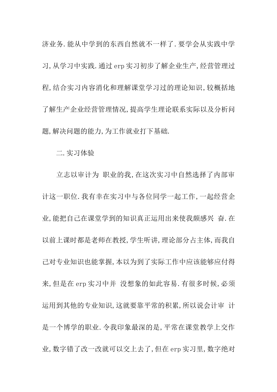 最新审计实习报告模板_第2页