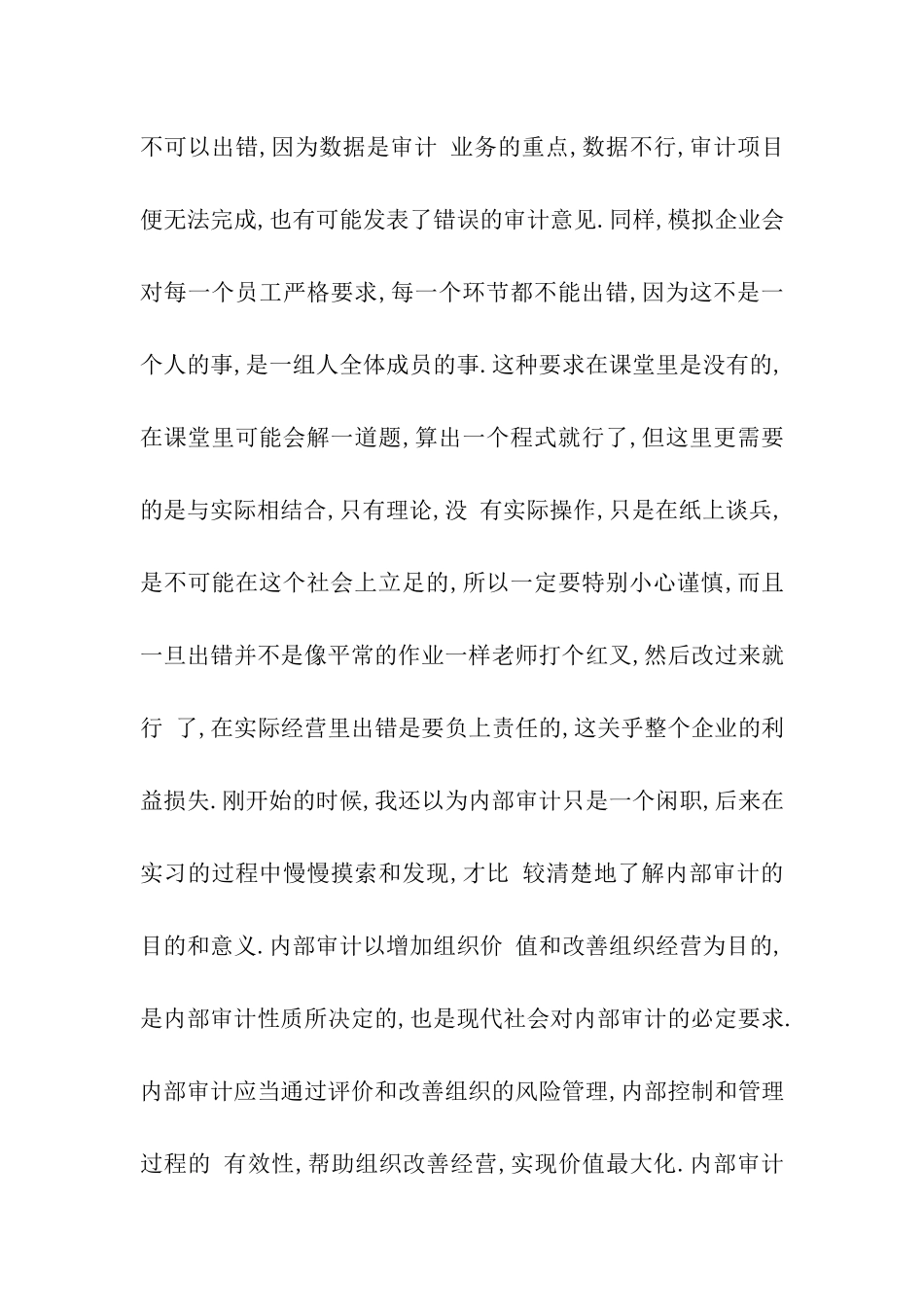 最新审计实习报告模板_第3页