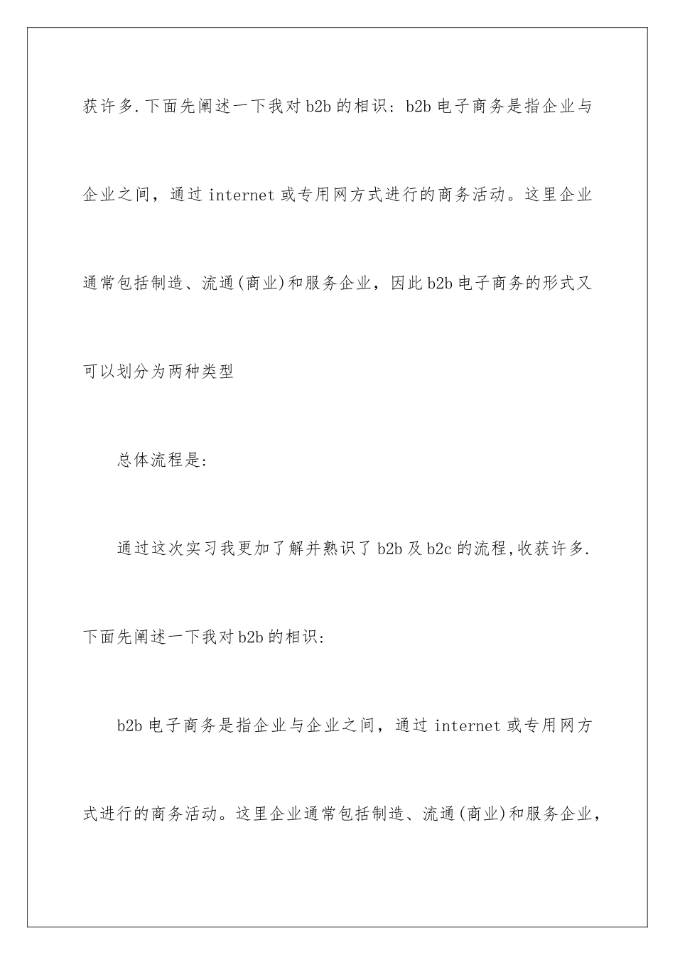 最新电子商务类实习报告_第2页