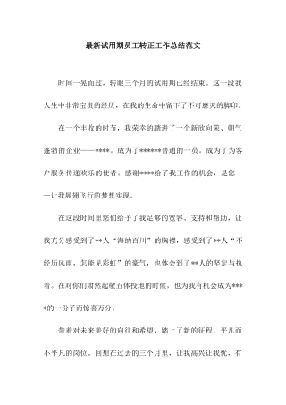 最新试用期员工转正工作总结范文