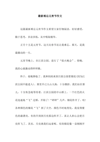 最新难忘元宵节作文