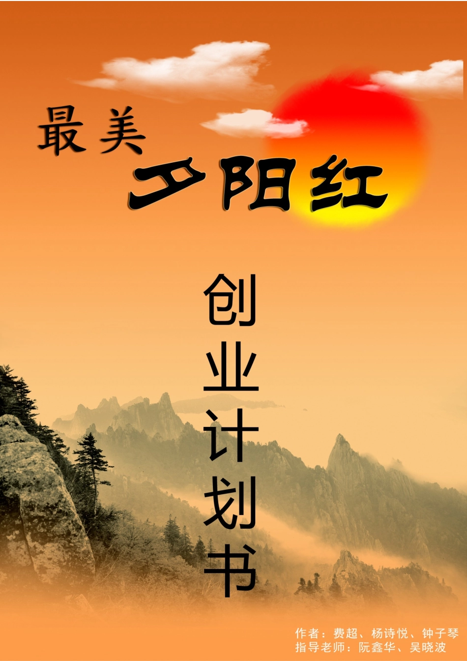 最美夕阳红创业计划书样本_第2页