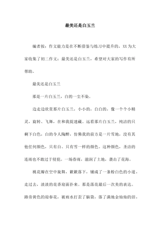 最美还是白玉兰