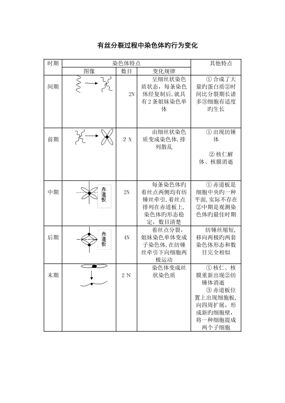 有丝分裂过程中染色体的行为变化_第1页