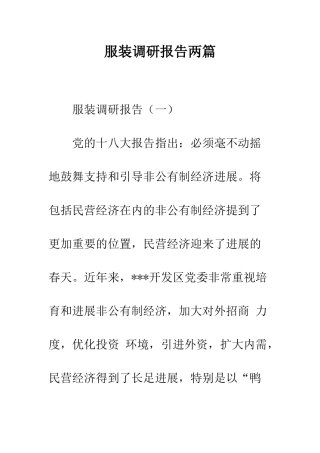 服装调研报告两篇--精编范文