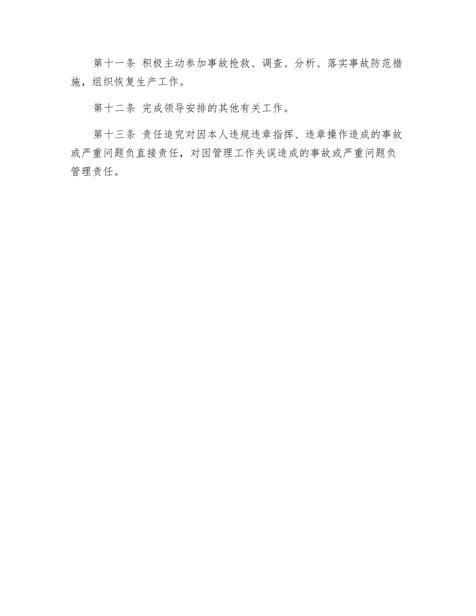 机修厂厂长安全生产岗位责任制_第2页