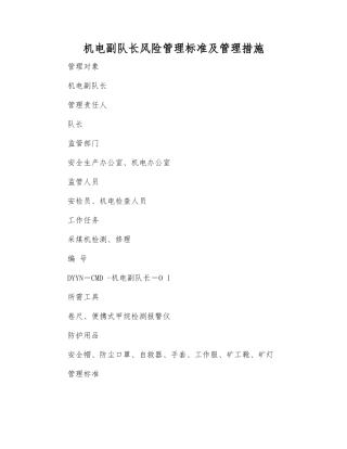 机电副队长风险管理标准及管理措施