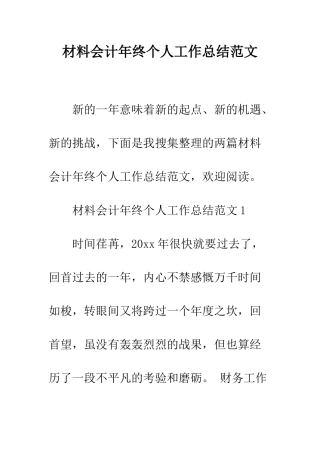 材料会计年终个人工作总结范文--精编范文
