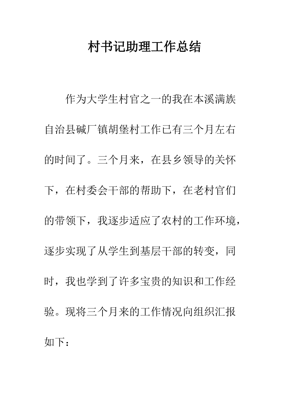村书记助理工作总结--精编范文_第1页