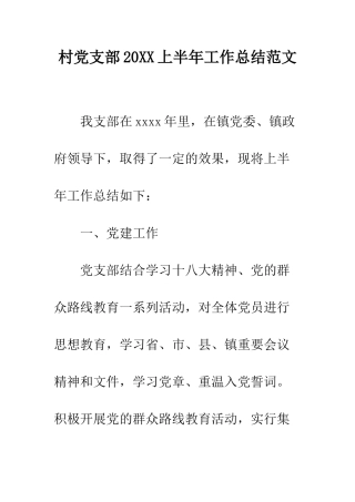 村党支部2025上半年工作总结范文--精编范文