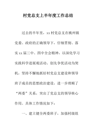 村党总支上半年度工作总结--精编范文