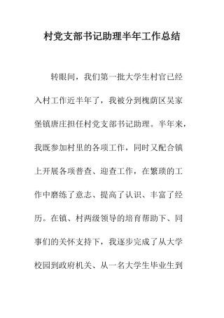 村党支部书记助理半年工作总结--精编范文