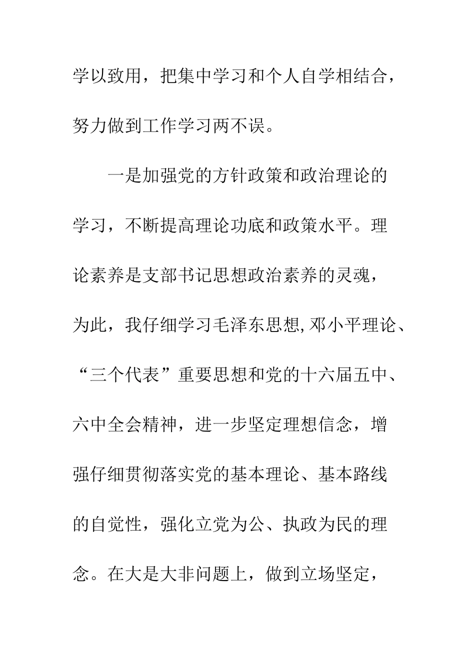 村党支部书记述职述廉报告--精编范文_第3页