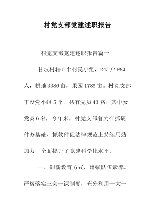村党支部党建述职报告--精编范文