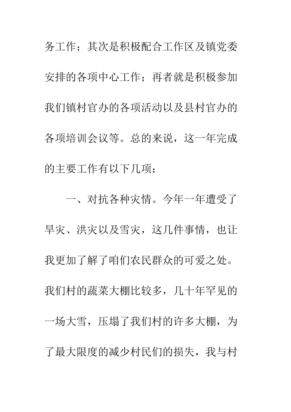 村官村务工作总结及工作计划--精编范文_第2页