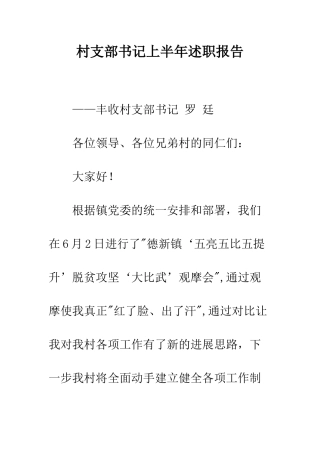 村支部书记上半年述职报告--精编范文