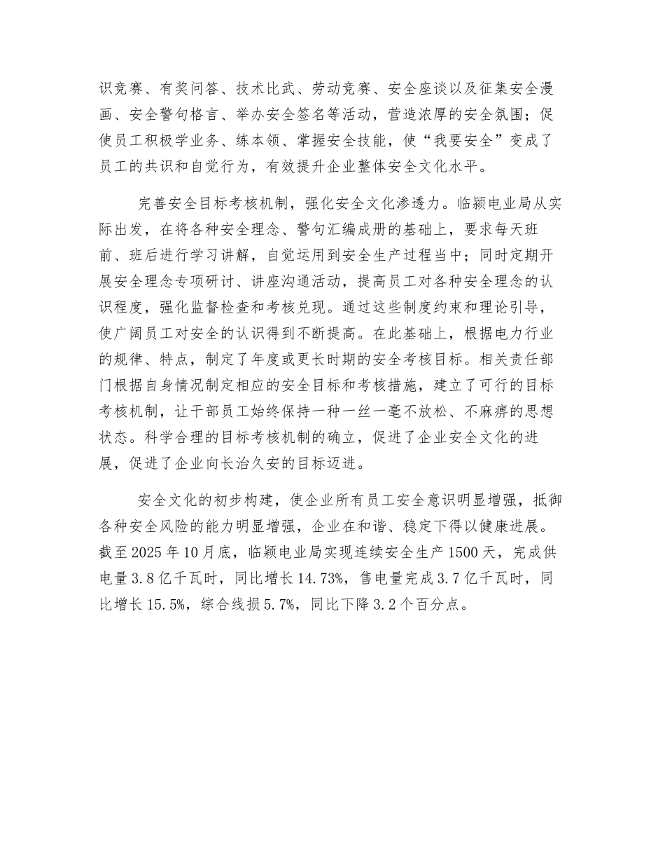 构建安全文化-促进电力安全生产_第2页