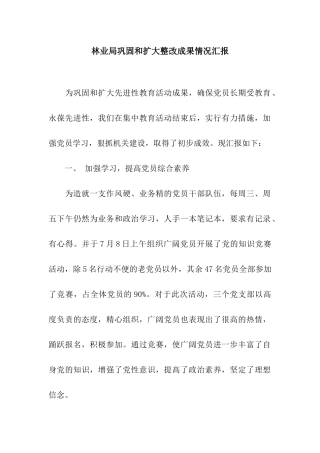 林业局巩固和扩大整改成果情况汇报