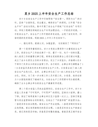 某乡2025上半年安全生产工作总结