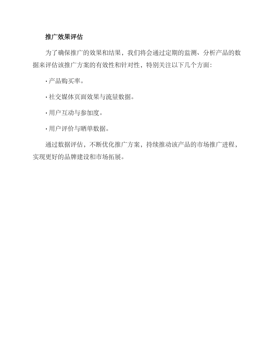 某产品推广方案_第3页