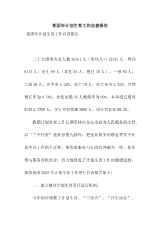某团年计划生育工作自查报告