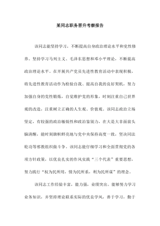 某同志职务晋升考察报告