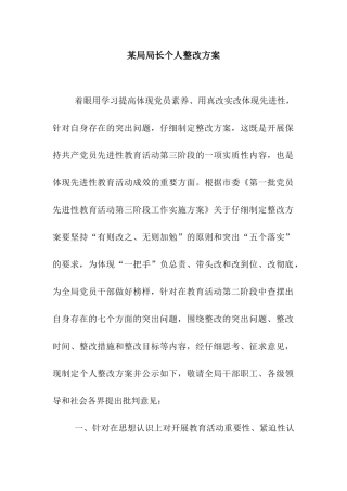 某局局长个人整改方案