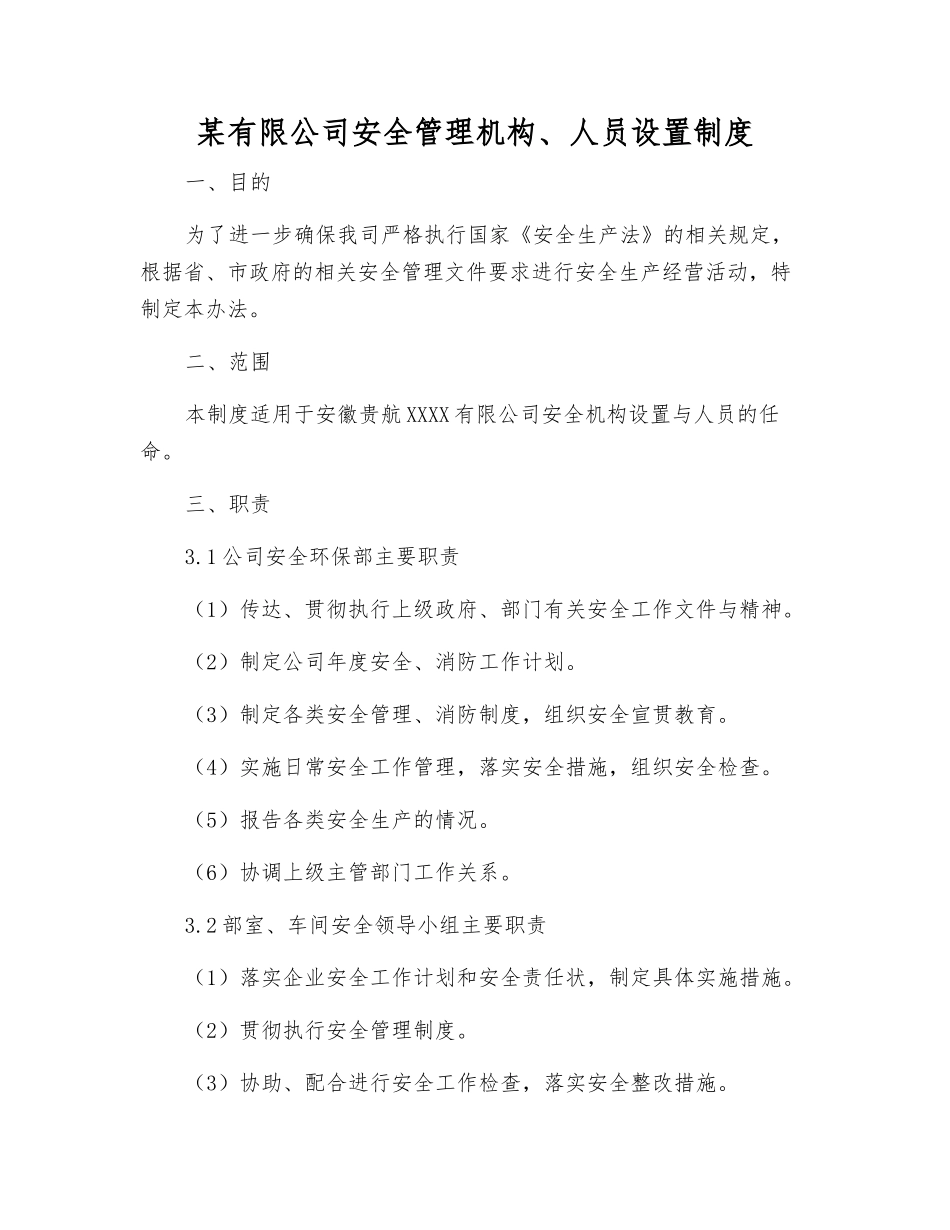 某有限公司安全管理机构、人员设置制度_第1页
