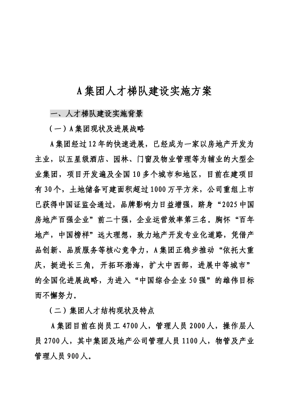 某某集团人才梯队建设实施参考方案样本_第3页