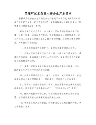 某煤矿技术负责人安全生产承诺书