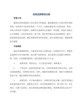 染发品牌策划方案