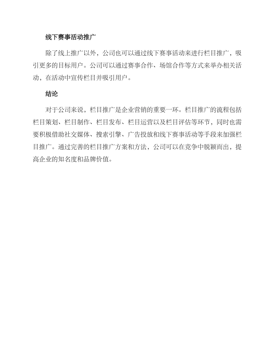 栏目推广方案_第3页