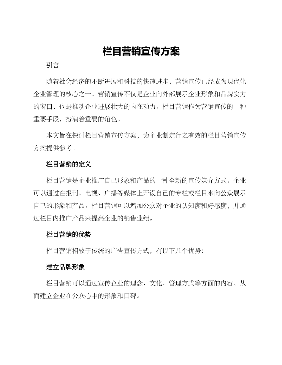 栏目营销宣传方案_第1页