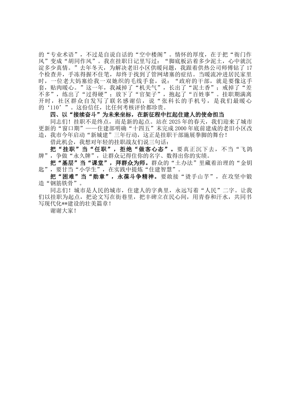 在2025年全市挂职干部代表座谈会上的交流发言_第2页