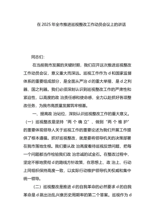 在2025年全市推进巡视整改工作动员会议上的讲话