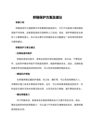 桥隧保护方案及建议