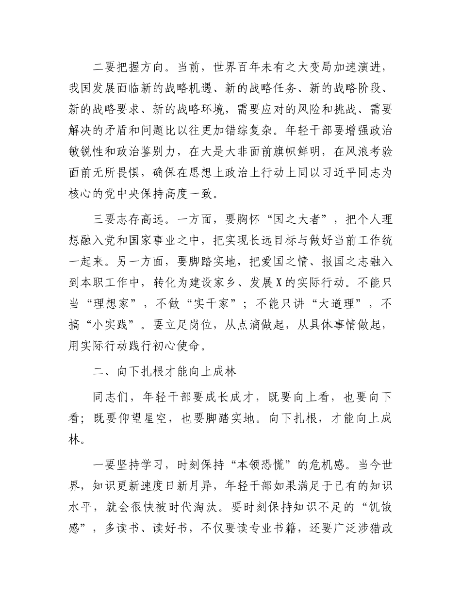 县委书记在2025年全县年轻干部座谈会上的讲话_第2页