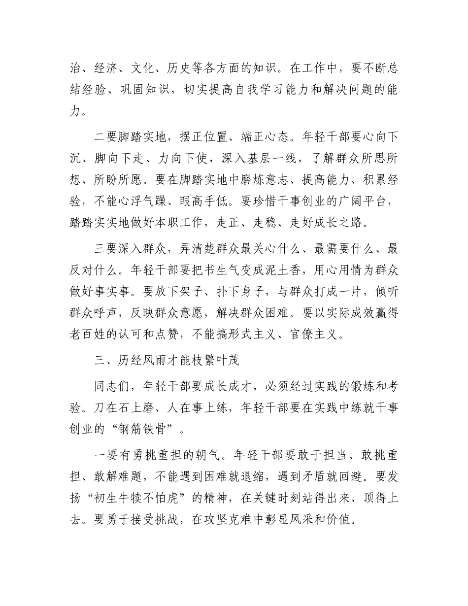 县委书记在2025年全县年轻干部座谈会上的讲话_第3页