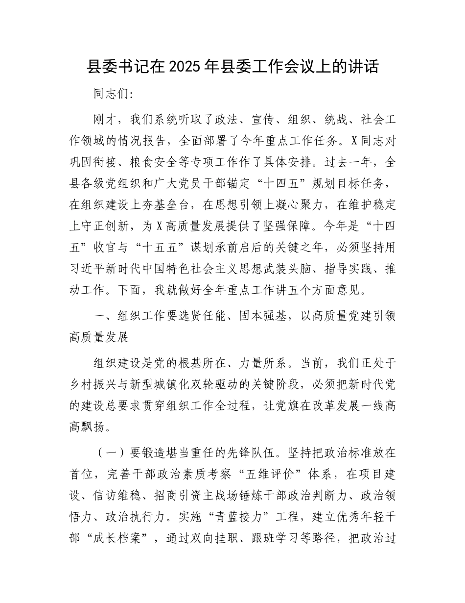县委书记在2025年县委工作会议上的讲话_第1页