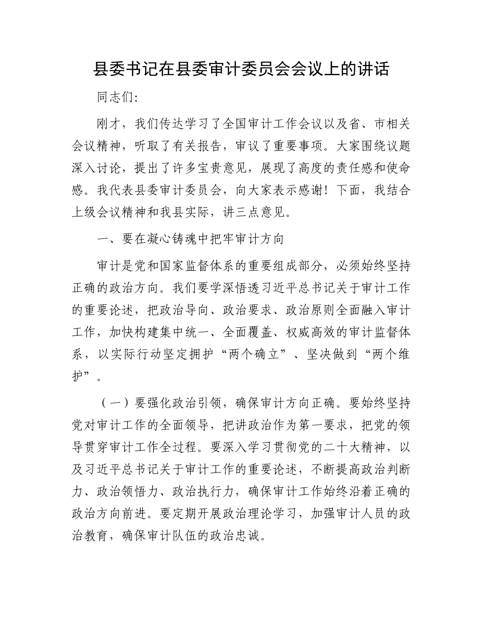 县委书记在县委审计委员会会议上的讲话_第1页